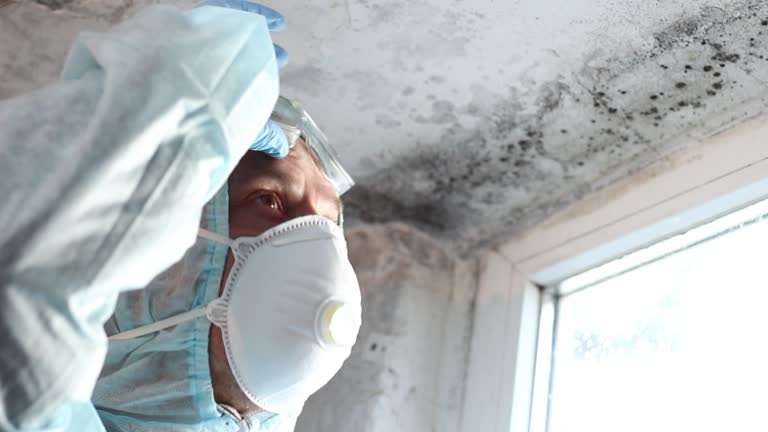 Best Residential Mold Inspection & Testing  in Newman, CA